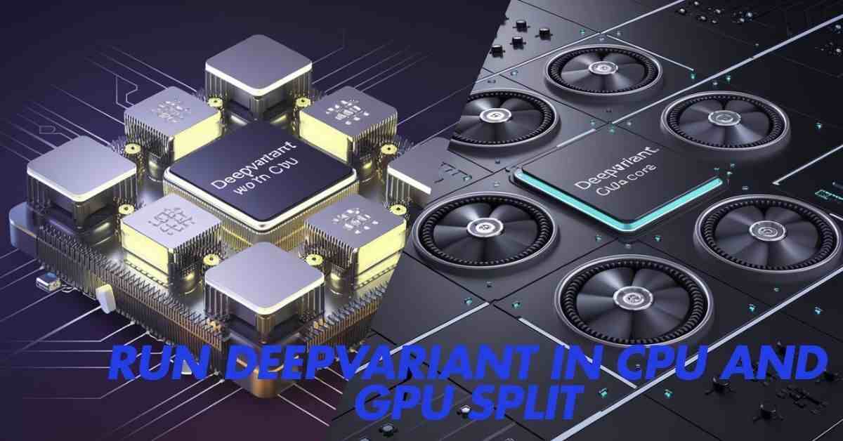 Run Deepvariant In Cpu And Gpu Split