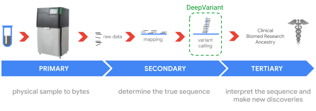 What is DeepVariant?